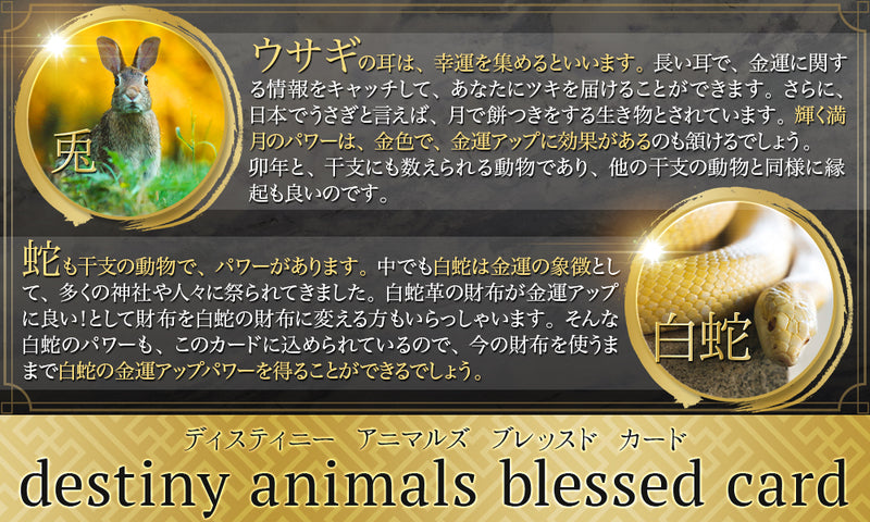 Destiny animals blessed card　【動物カード 金運　幸運】