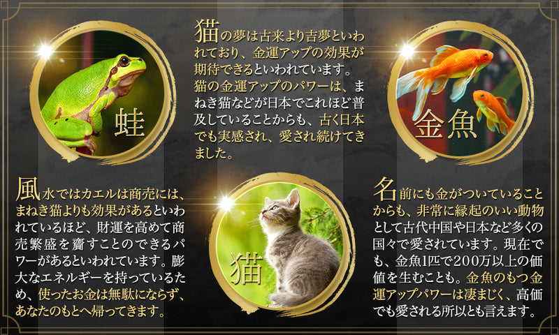 Destiny animals blessed card　【動物カード 金運　幸運】